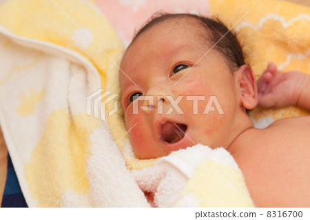 嬰兒 8316700