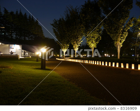東京中城花園 東京中城花園 8316909