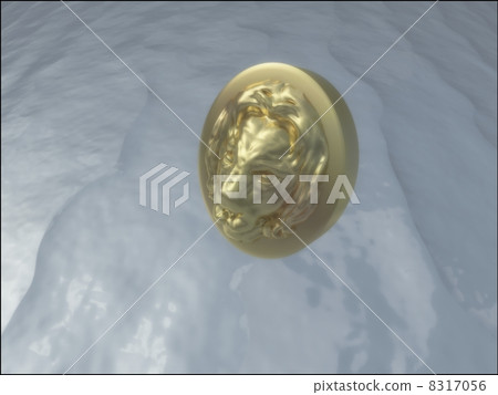 Lion coin 8317056