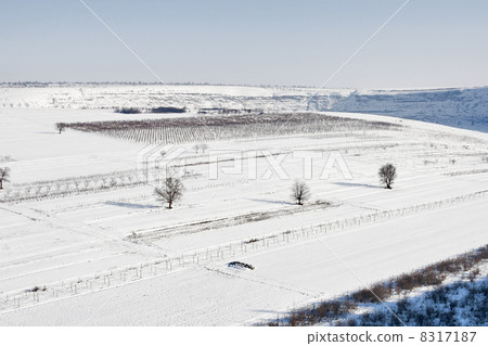 Winter valley Winter valley 8317187
