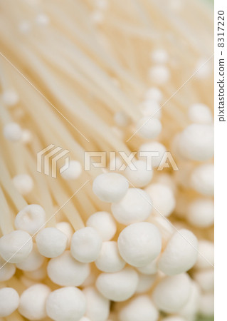 Enokidake Enokidake 8317220