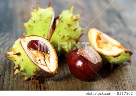 Ripe chestnuts. 8317562