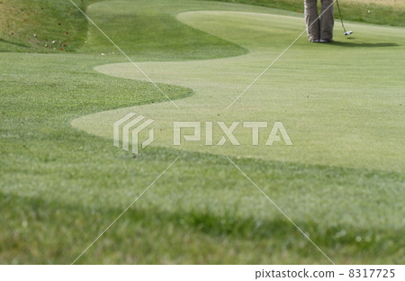 golf  8317725