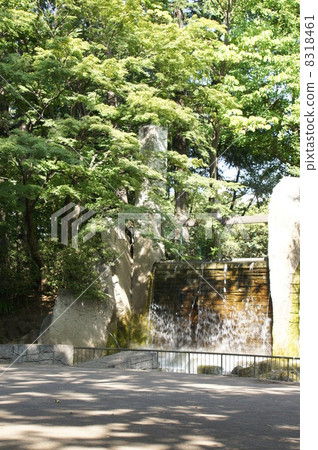 公園瀑布 8318461