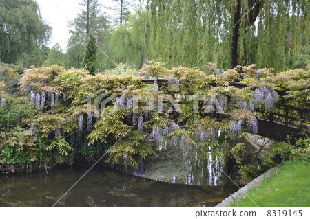 Regent's Park Regent's Park 8319145