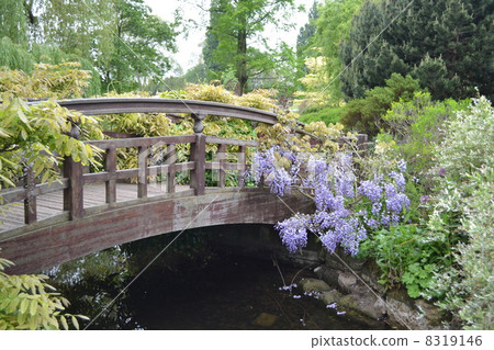 Regent's Park 8319146