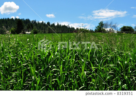 Country Prairie Country Prairie 8319351