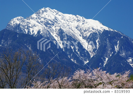 Spring Kai Komagatake 8319593