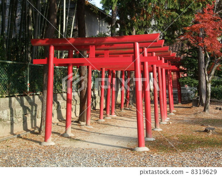 Inari Torii Torii 8319629