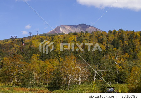 Daisetsuyama Asahidake Ropeway From the foot staion station Asahidake of autumn leaves 8319785