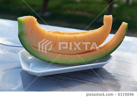 Furano Melon 8319896