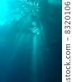 光雨 8320106