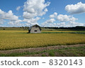北海道美瑛鄉村風光秋天 北海道美瑛鄉村風光秋天 8320143