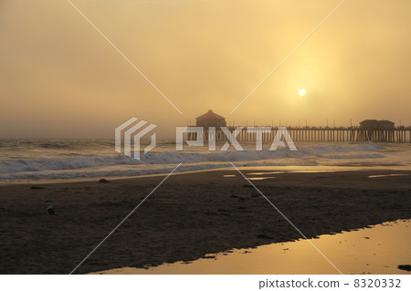 Dusk of the beach 8320332