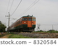 Two-shot lines going in the Kanto plain Shonan color 115 series 8320584