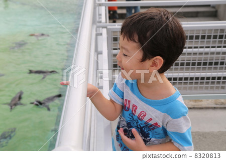 Penguin seems to be comfortable ~ Penguin seems to be comfortable ~ 8320813