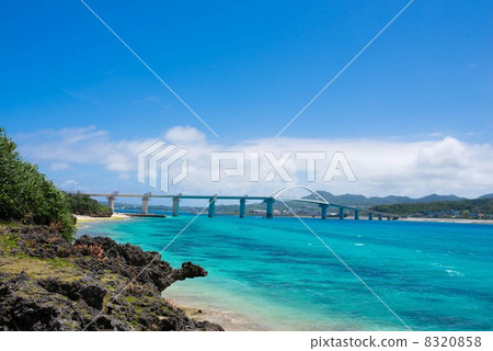 沖繩的海洋島 8320858