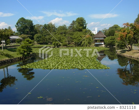 天堂天堂(津山) 天堂天堂(津山) 8321118
