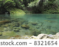 Clean current - Kochi Prefecture, Aki River upstream 8321654