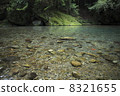 Clean current - Kochi Prefecture, Aki River upstream 8321655