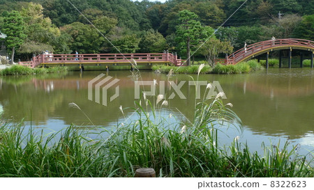 金澤文庫松明路池塘的景色 8322623