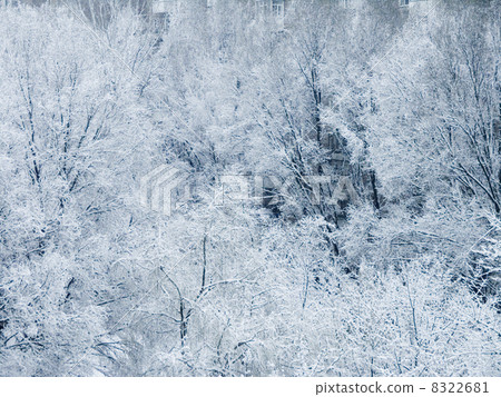 winter landscape winter landscape 8322681