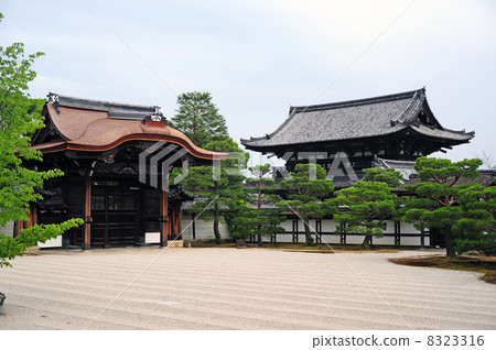 Teshikamon和Nijimon從Ninna-ji Temple Garden觀看 8323316
