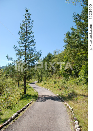 長野縣松本市·Norikura Kogen Kazuyose花園 8323400