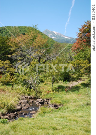 長野縣松本市·Norikura Kogen Kazuyose花園 8323401