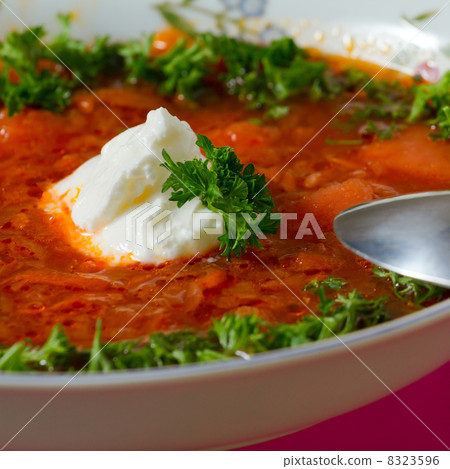 Borsch 8323596