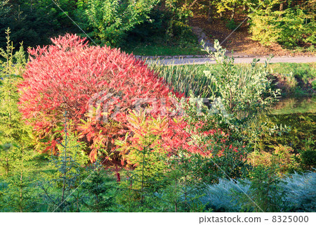 Autumn city park 8325000