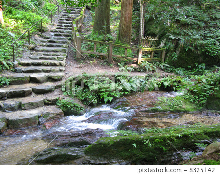Scenic spot of scenic beauty 8325142