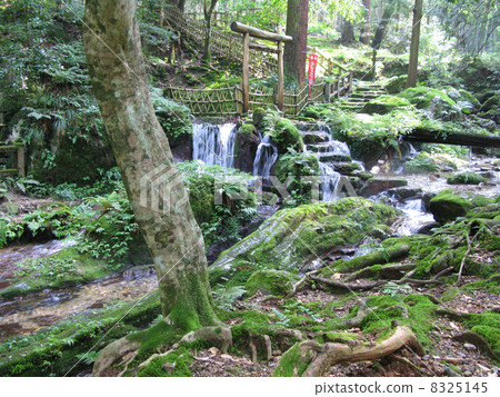 Scenic spot of scenic beauty 8325145