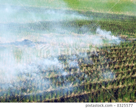 收穫水稻後燒飯（秋季景觀） 8325577