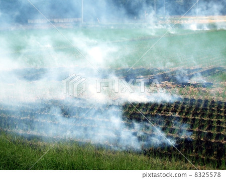 收穫水稻後燒飯（秋季景觀） 8325578