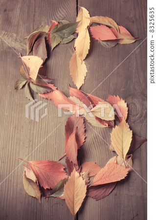 Dollar autumn Dollar autumn 8325635