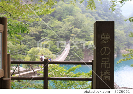 懸索橋的夢想 懸索橋的夢想 8326061