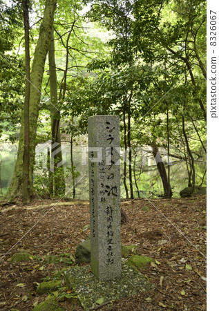 Silanuta的池塘 Silanuta的池塘 8326067