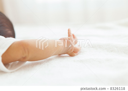 3 week old baby's hand 8326118