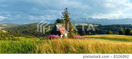 Summer mountain country panorama. 8326992