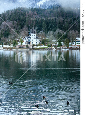 Alpine winter lake view 8327008