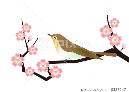 Ume and Ugui 8327347