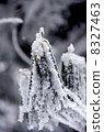Chilled rhododendron 8327463