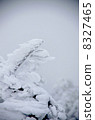 Branch - tip 8327465