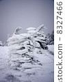Lake Ice - Summit 8327466