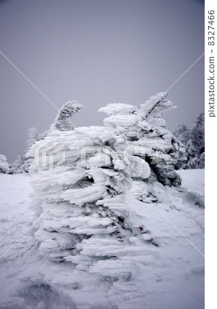 Lake Ice - Summit 8327466