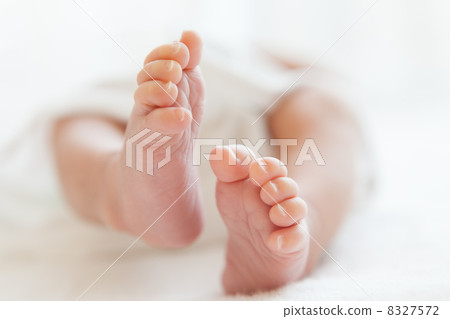 3 weeks old 8327572