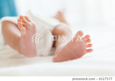 3 weeks old 8327577