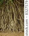 Wat Phra Mahathat 8327579