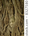 Wat Phra Mahathat 8327580